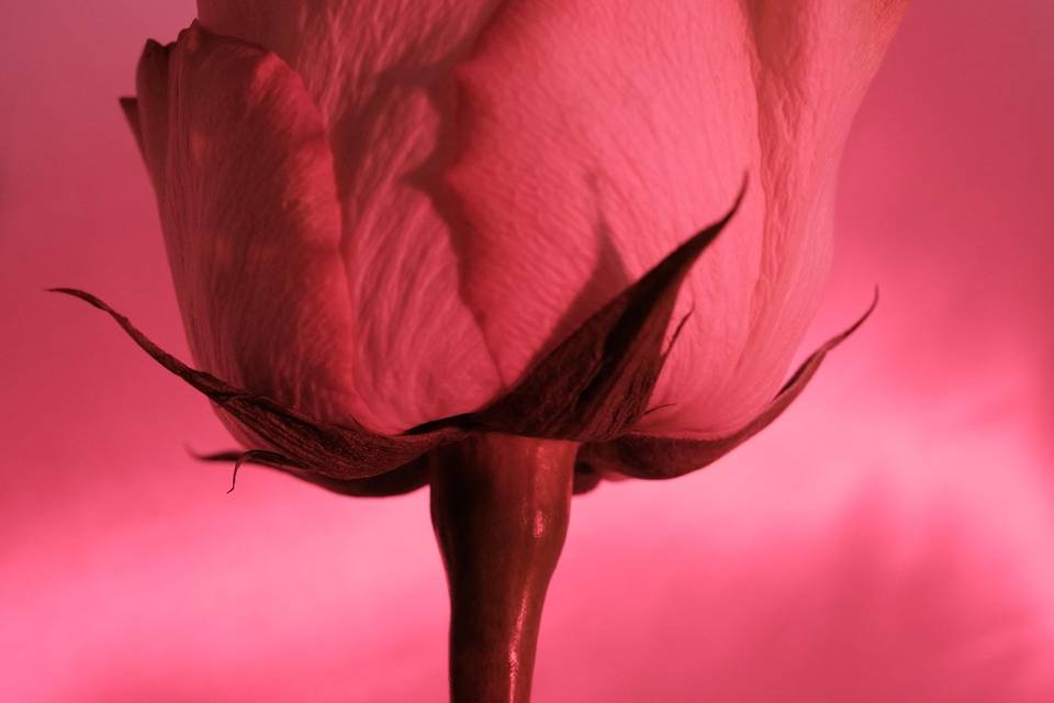 Détail
