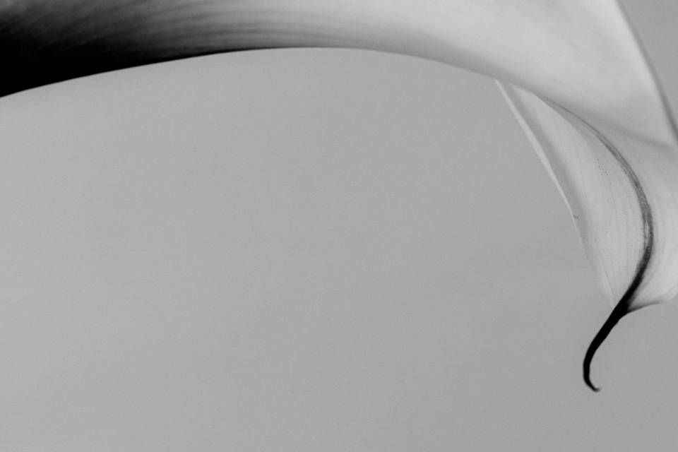 Détail