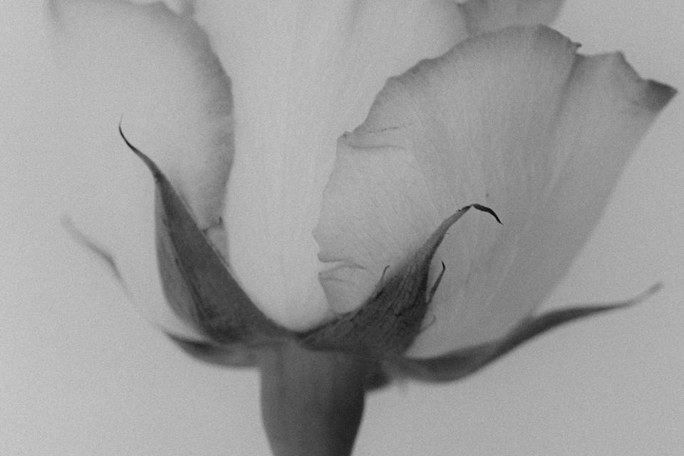 Détail