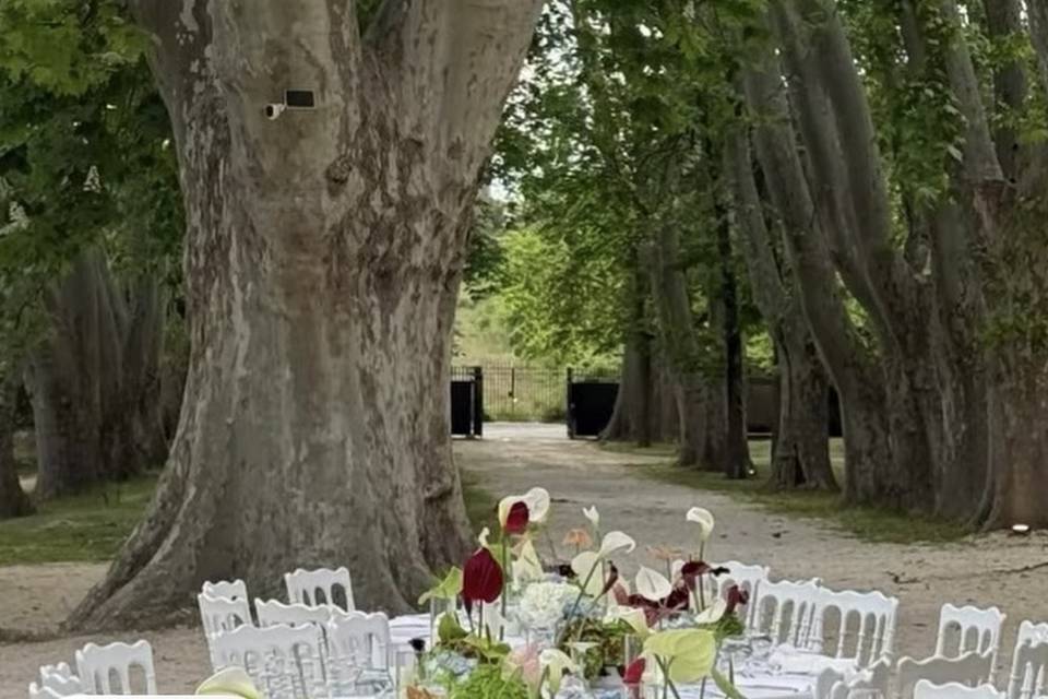 Bastide Tour Sainte