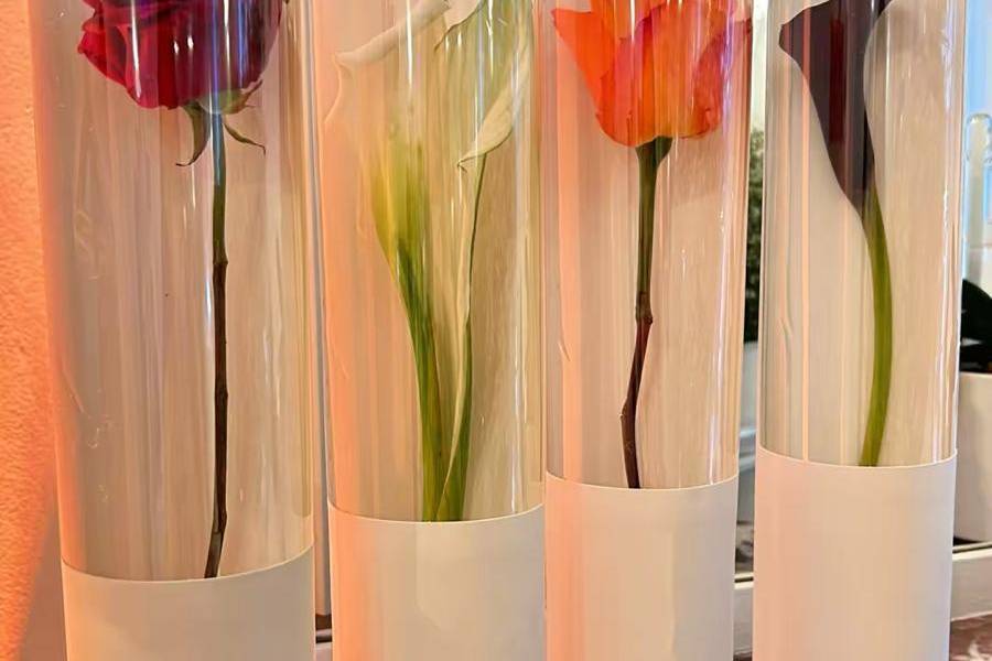Bloom Capsules