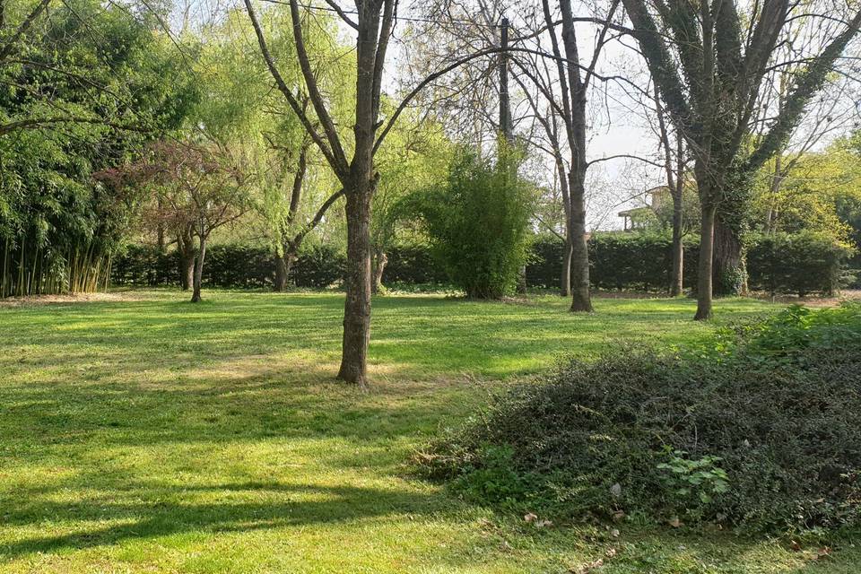 Parc arboré