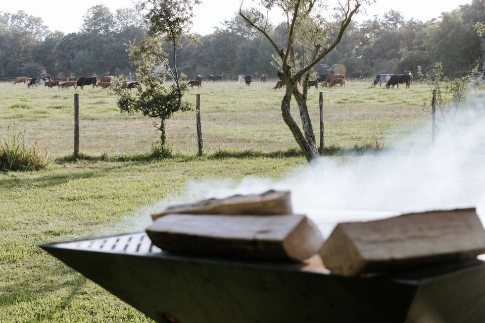 Bois_braise_paysage_ferme