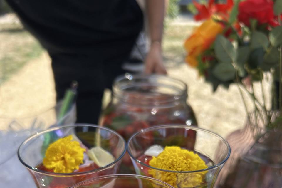 Cocktail