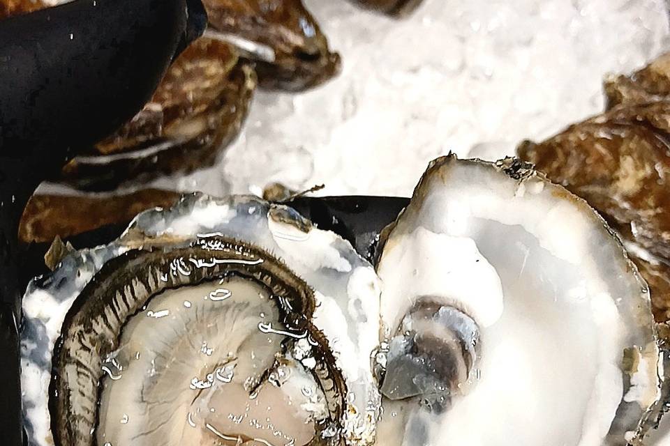Passion d'art et saveurs