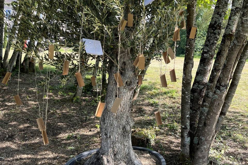 Rituel de l'arbre à souhaits