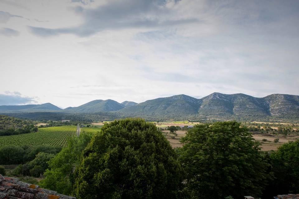 Domaine de Blancardy