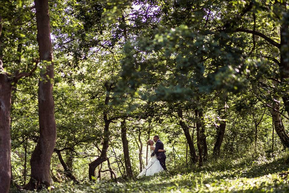 La forêt de la bastide