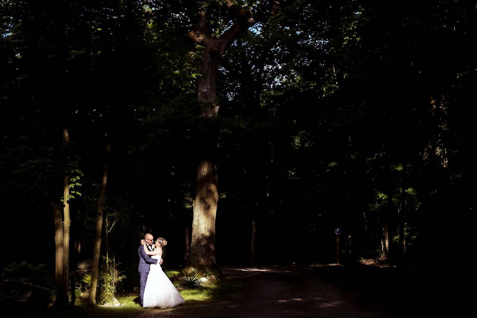 La forêt de la bastide