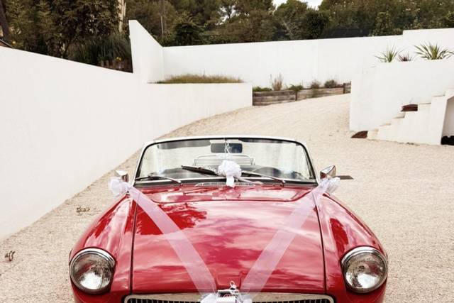 ClassicsFJCars