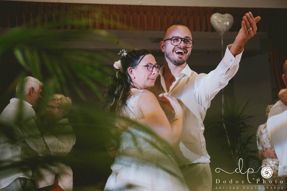 Dodos Photo Artisan