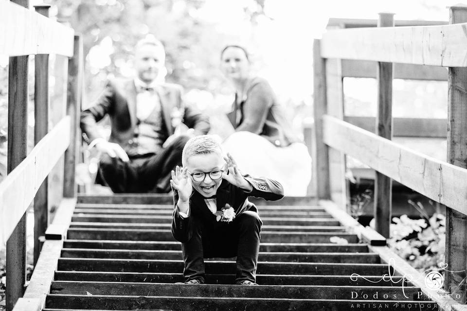 Dodos Photo Artisan