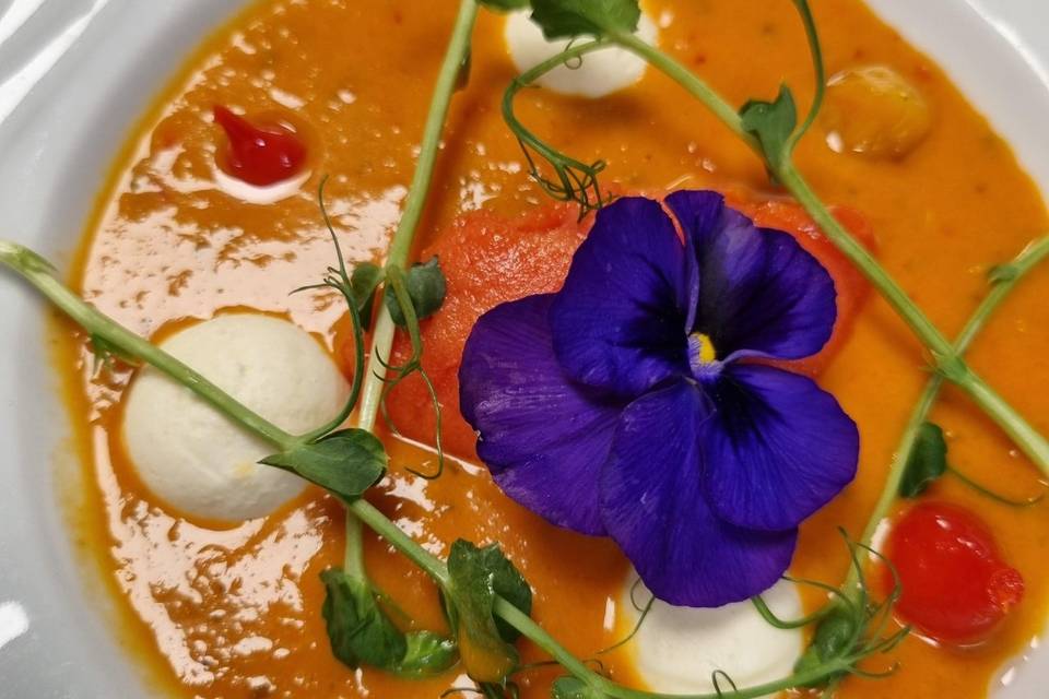 Gaspacho