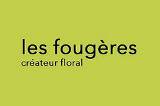 Les Fougères