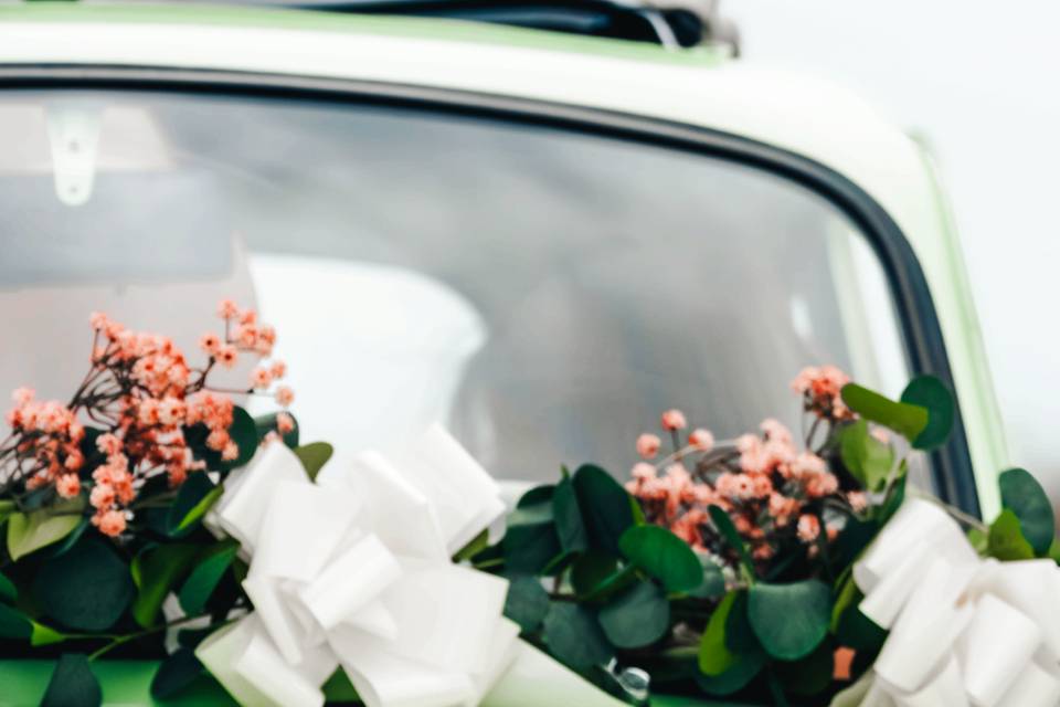 Gina 11 - Fiat 500 rétro