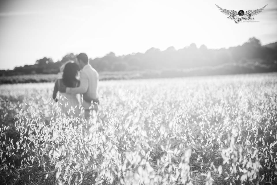 Trash the dress