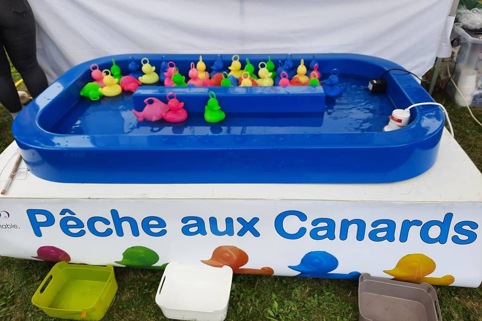 Pêche aux canards