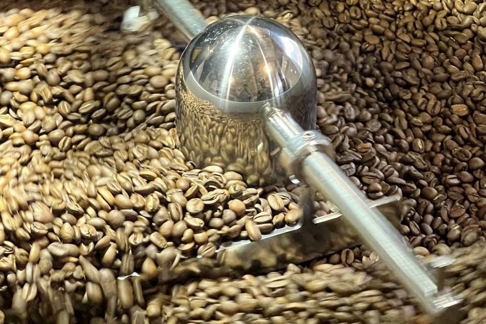 Café de spécialité