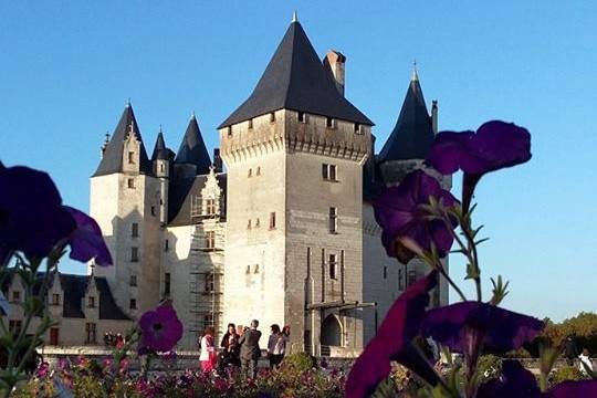 Vue d'une facade du chateau