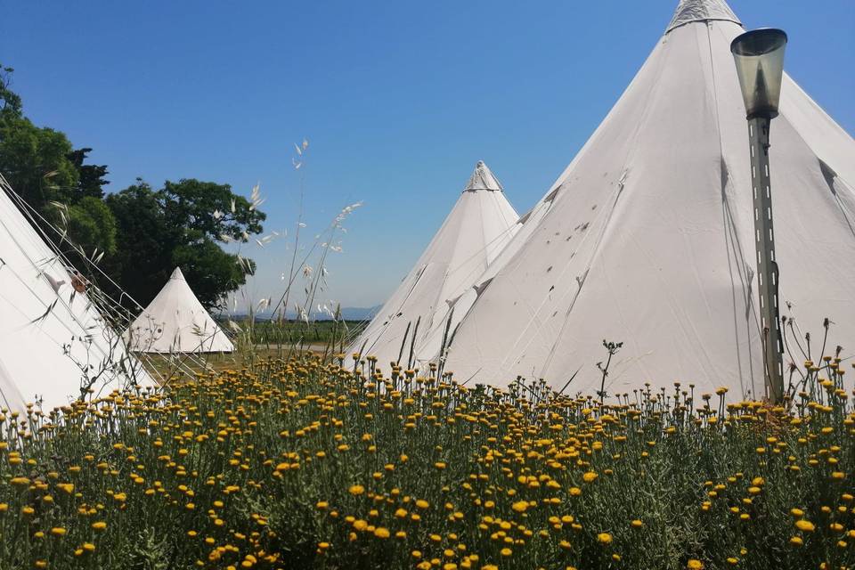 Etoiles et Toiles - Hébergement en Tipi