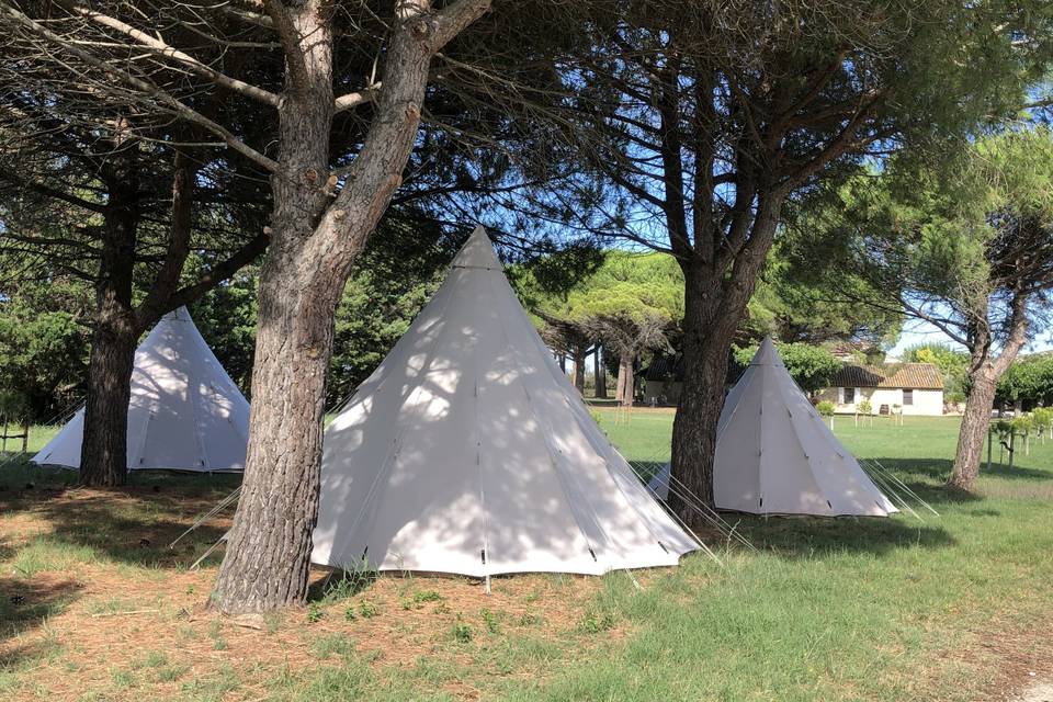 Etoiles et Toiles - Hébergement en Tipi