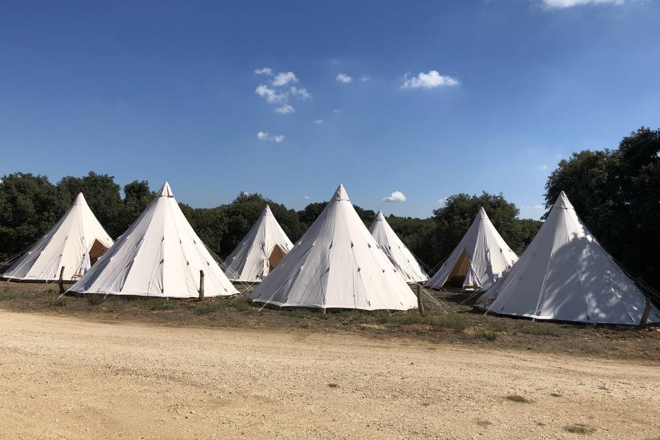 Campement de mariage