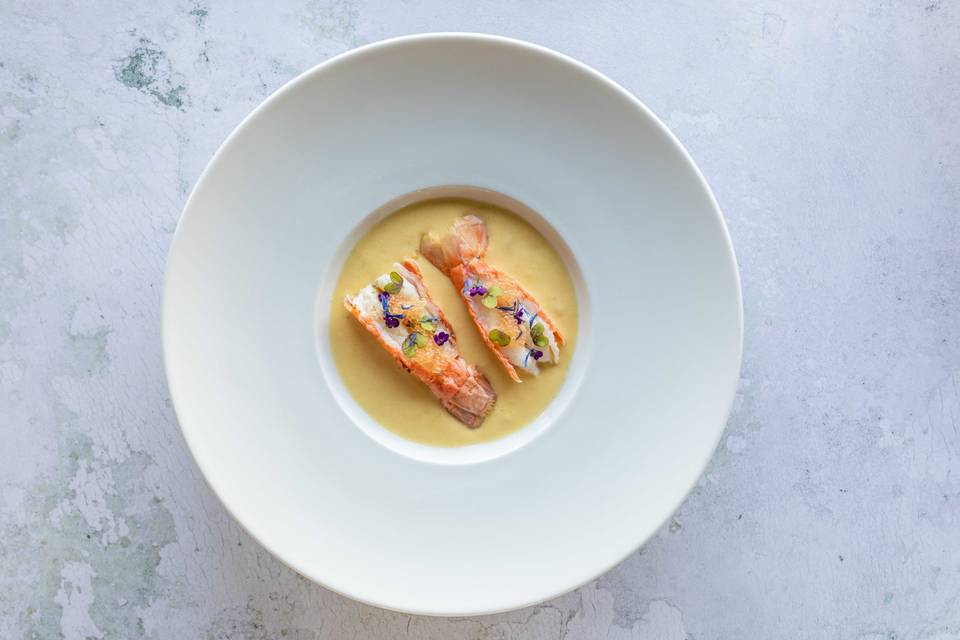 Entrée langoustines