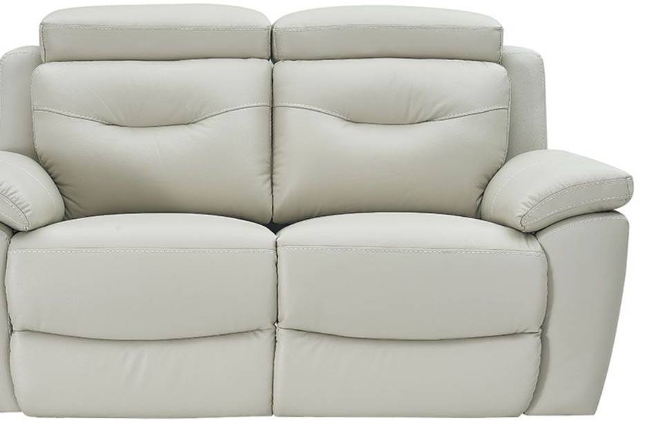 Fauteuil cuir 2 places