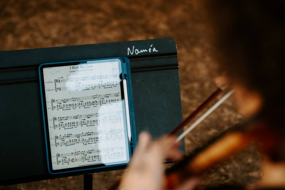 Des musiques à votre goûts...