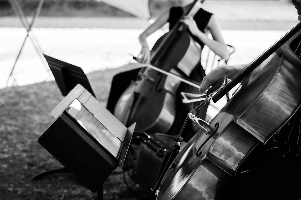 Les Limoncellos