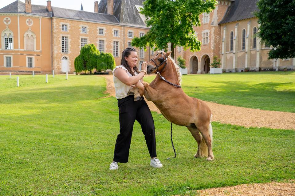 Poney devant Pescheseul