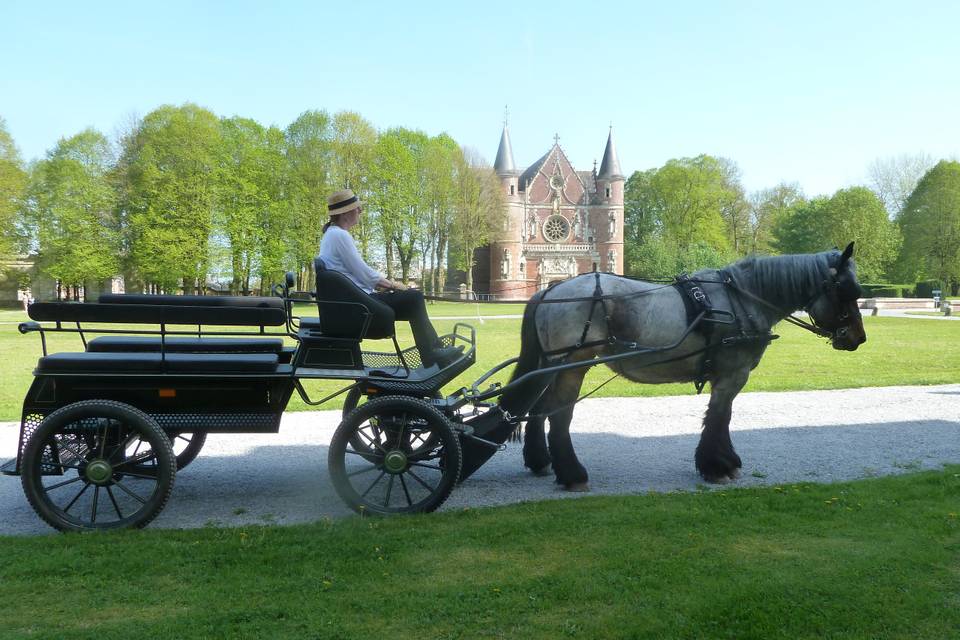 Pour des balades au château