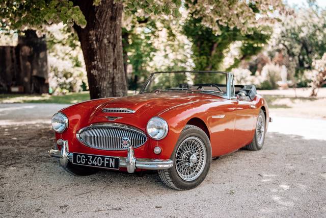 Austin Healey