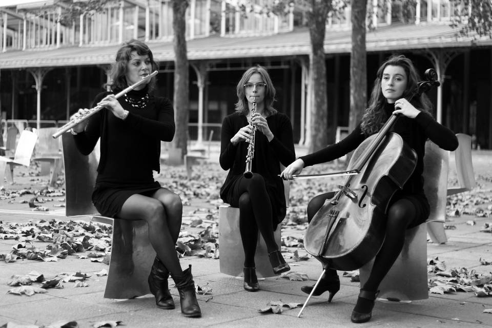 Ensemble Lysis