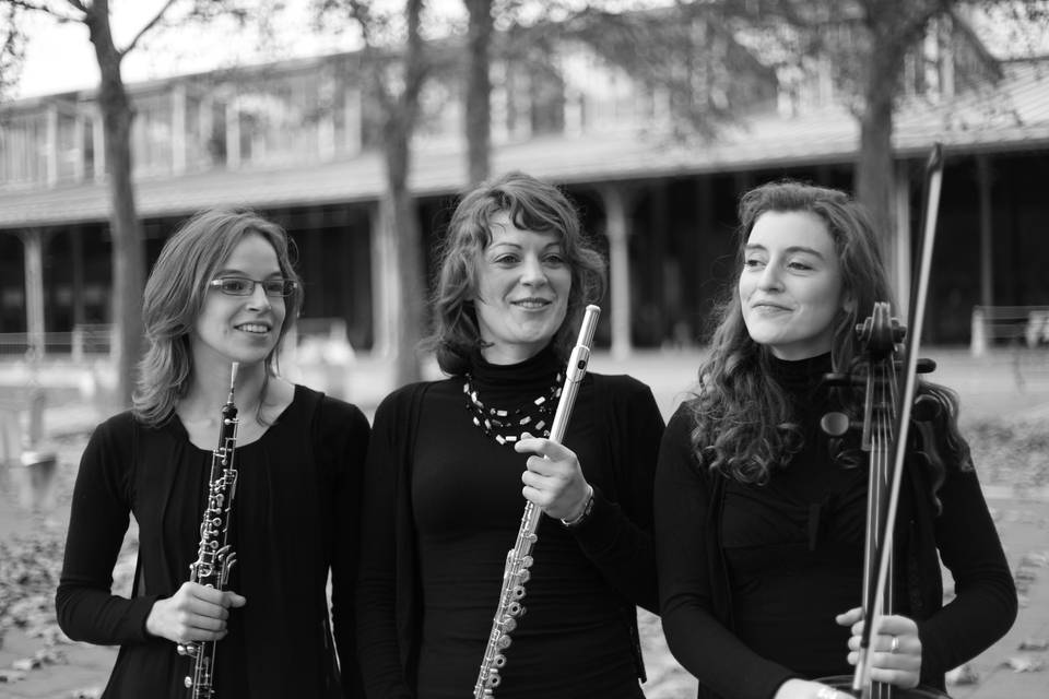 Ensemble Lysis