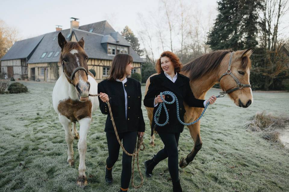 Chevaux