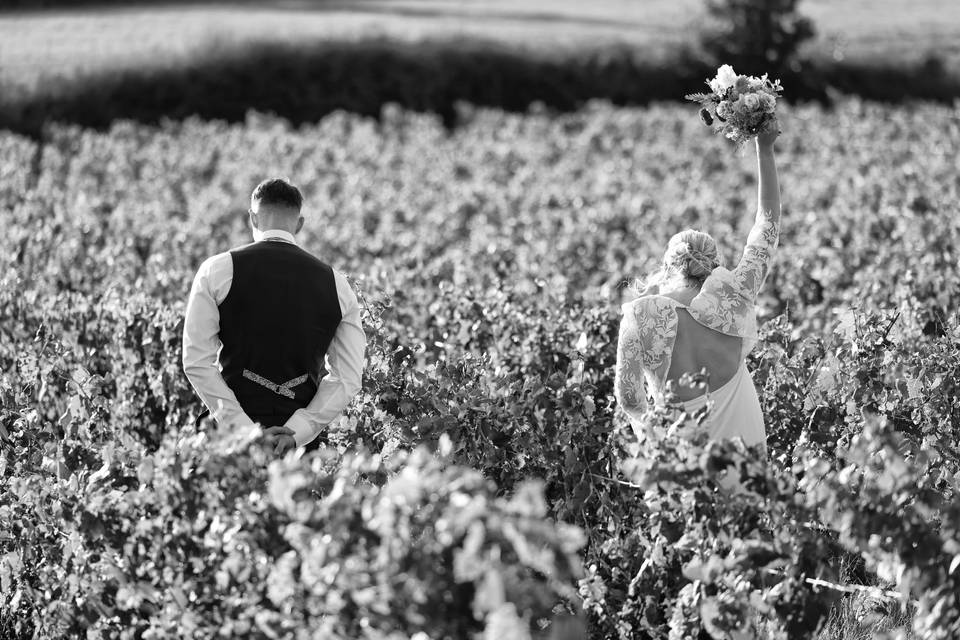 Promenade jour de vendange