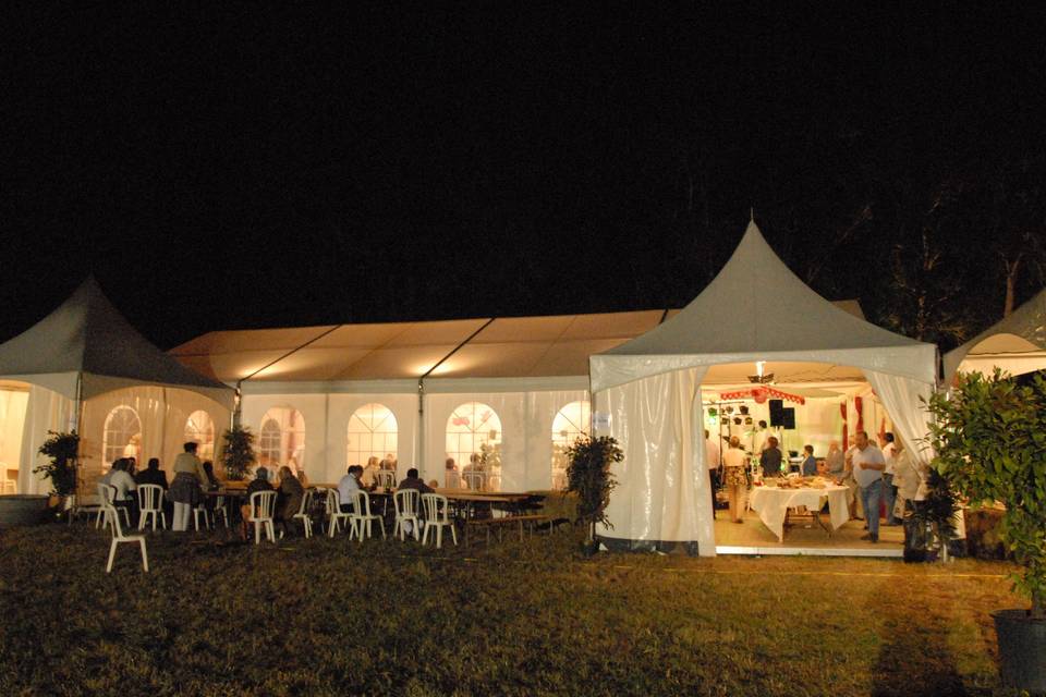 Tente call events
