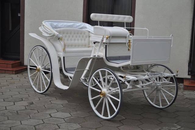 Le victoria blanc