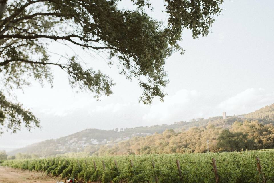 Diner dans les vignes