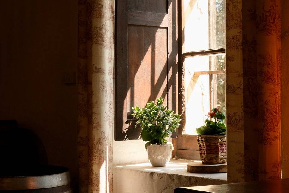 Détails Château