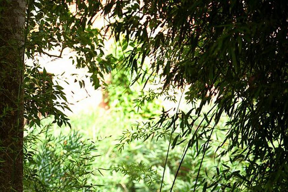 Jardin Romantique