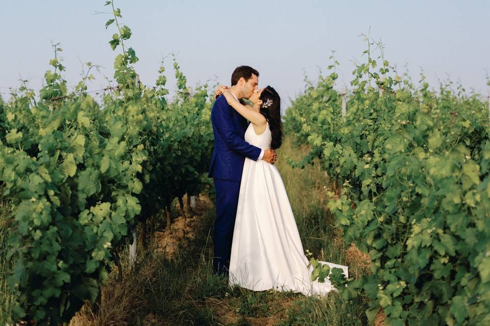 Vignes