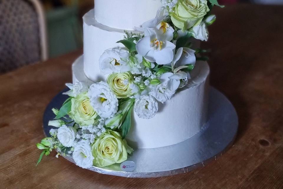 Cake design 