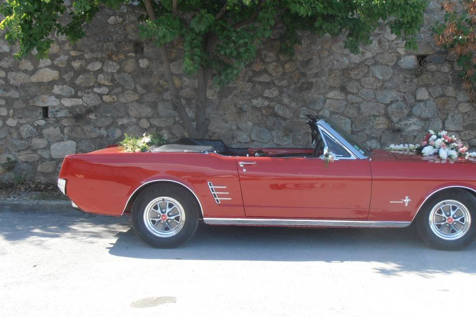 Mustang V8 de 1966