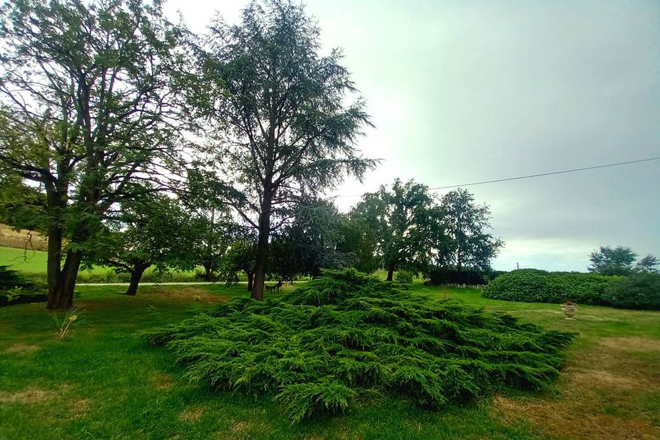 Le grand parc arboré