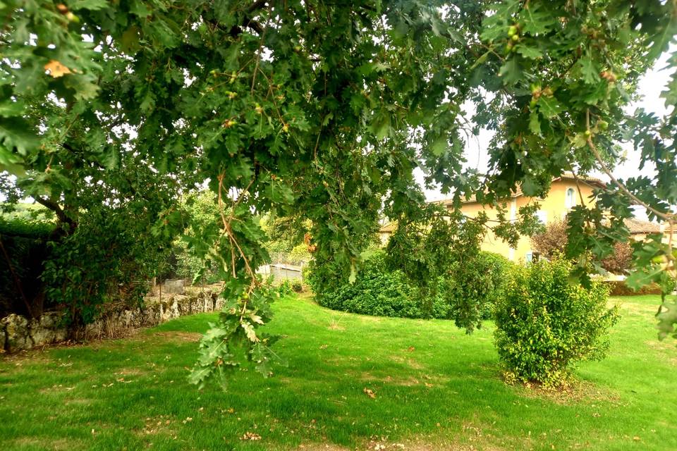 Le grand parc arboré et ombrag