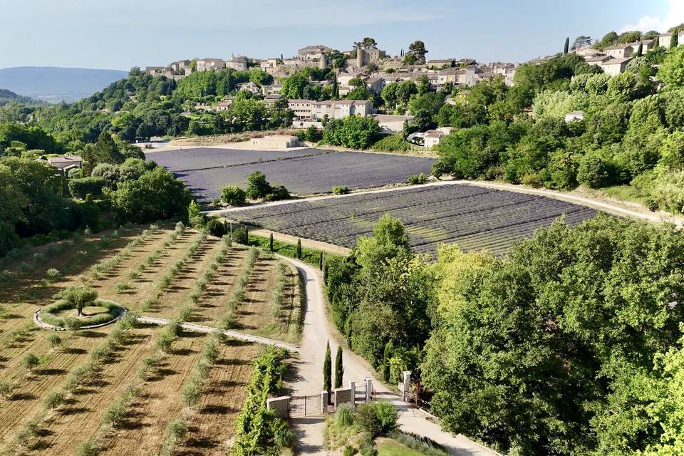 La vue sur Menerbes