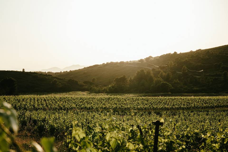 Vallée de Rouveyrolle