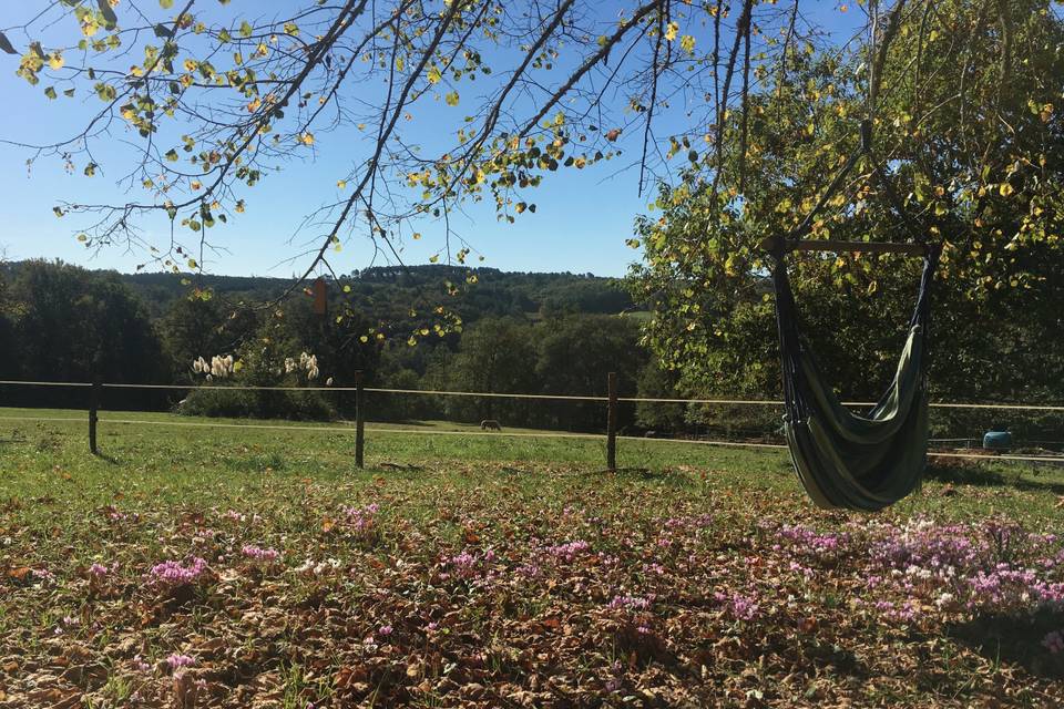 Domaine de la Contie